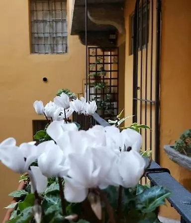 To Chic & Cheap Apartament