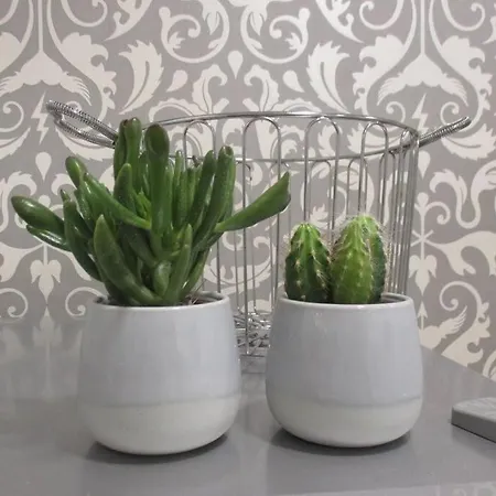 Apartament To Chic & Cheap Turyn