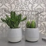 Apartamento To Chic & Cheap Turim