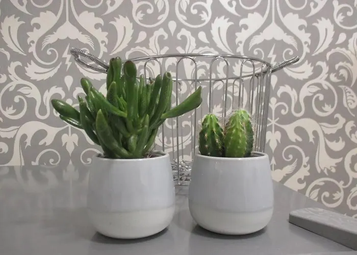 Διαμέρισμα To Chic & Cheap Τορίνο